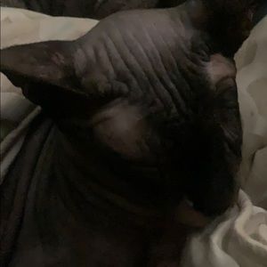 Meet your Posher, Tim